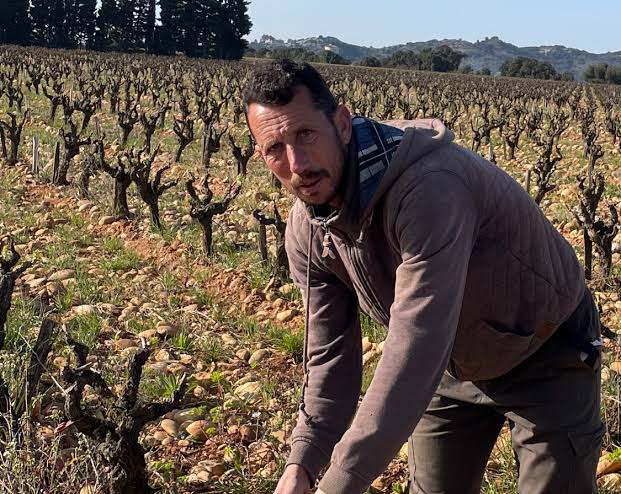 Alexandre Hote, natural winemaker in Tavel, Rhône Valley, France
